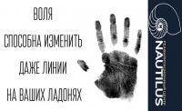 img2437911.png