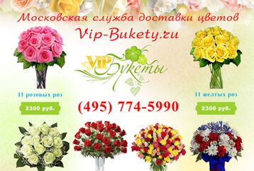img2484461.png