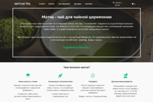 Лендинг с интернет-магазином