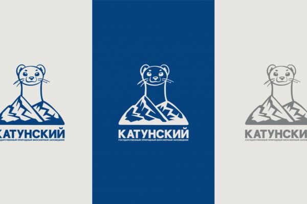 img4595668.png