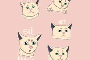 Стикеры с котом