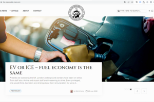 The Reasonable Man(Upwork)