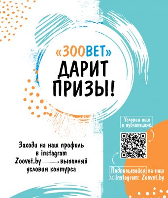 img3818525.png