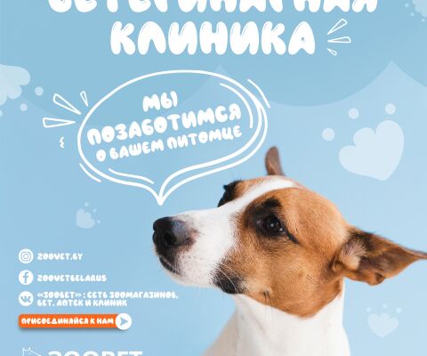 img3870893.png