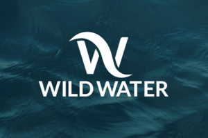 wild water лого