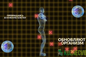 Реклама продукта