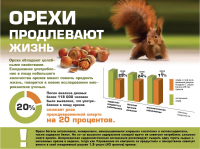 Инфографика для сайта