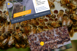 HoneyLand