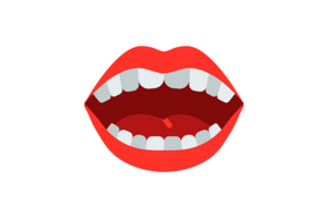 DentalStudio