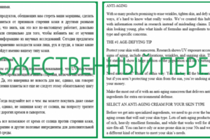 Художественный перевод