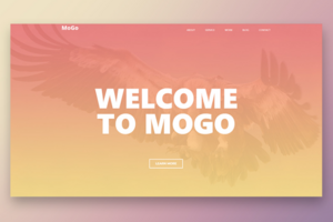Mogo