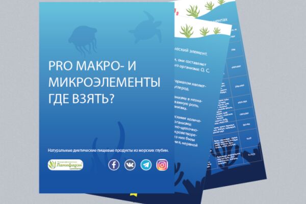 img3389216.png