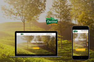 Сайт FARINA GROUP