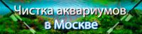 img3125054.png