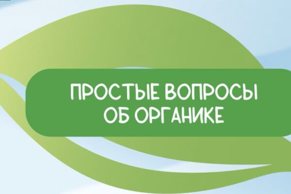 img4531929.png