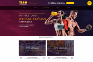 Сеть фитнес клубов ТЕЛО