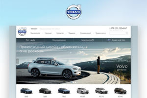 Официальный дилер Volvo.