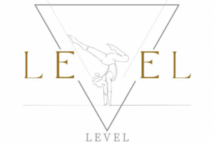 level studio