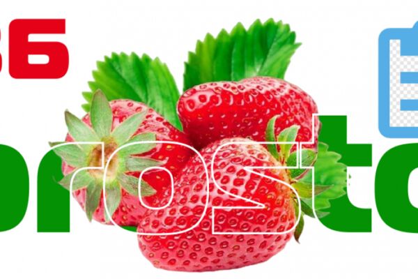 img4475757.png