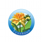 Ручейный