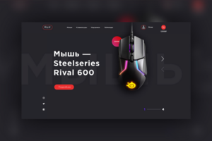 Интернет-магазин товаров для геймеров "Rox"