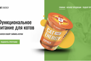 Cat Energy