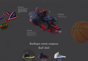 Adidas Ball 365
