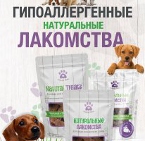 Баннер