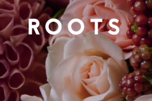 Roots Flowers - Магазин цветов inst.