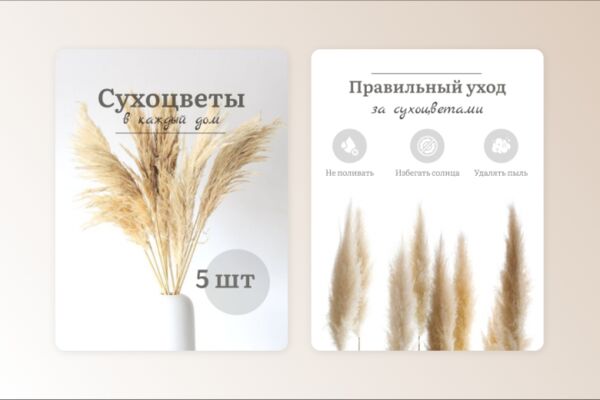 img4530541.png