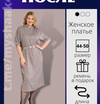 img4228511.png