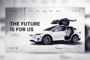 Company «Tesla»