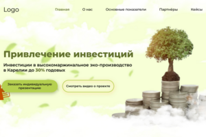 Главная страница привлечение инвестиций