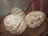 яйцо из ракушек