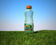nestea