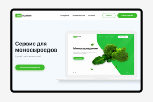 Презентация сервиса  «Гармония»