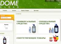 domeclean.ru