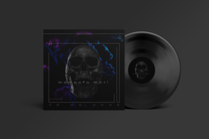Vinil