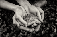 keep this warm automne