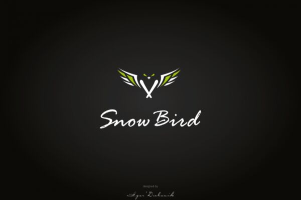 img3812582.png