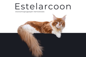 Estelar