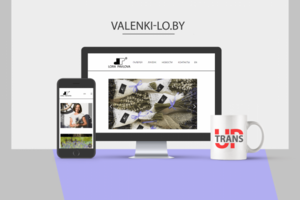 Valenki-lo.by