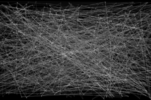 Lines on Canvas