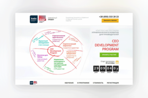 CEO Development Program (kmbs)