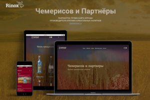 Чемерисов и партнёры