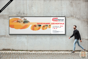 Баннер