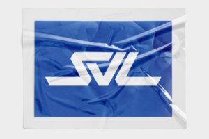 Логотип и айдентика для транспортной компании — SV LINE