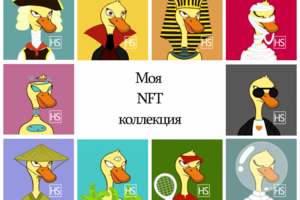 Моя коллекция NFT