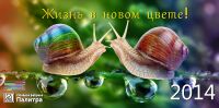 img1624346.png