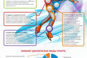 Зимний спорт